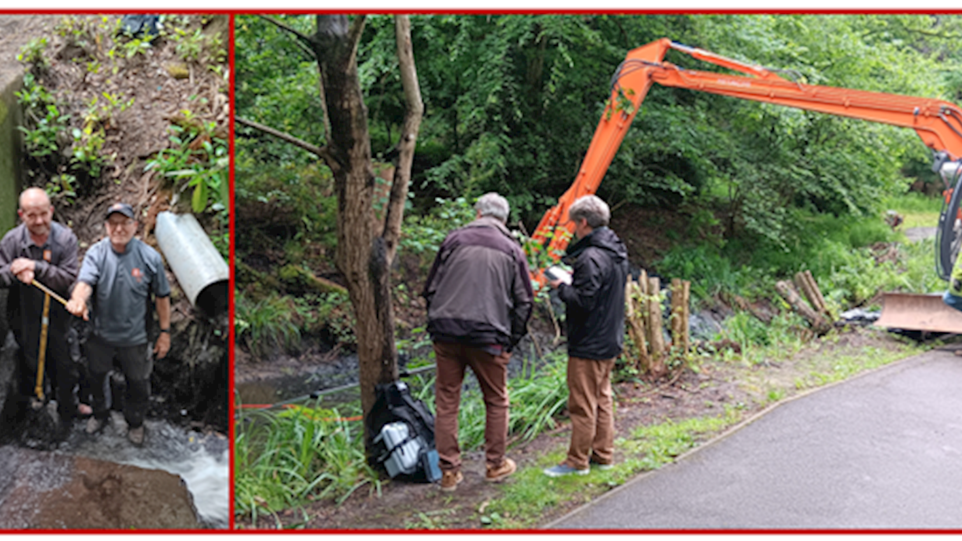 Jane Holloway pond restoration